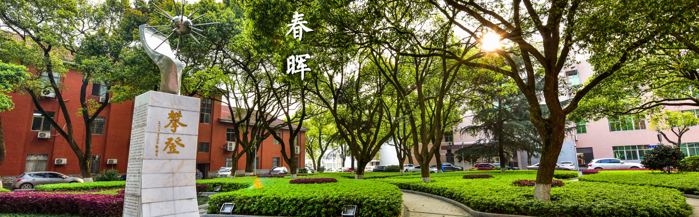 那四棵香樟樹(shù)