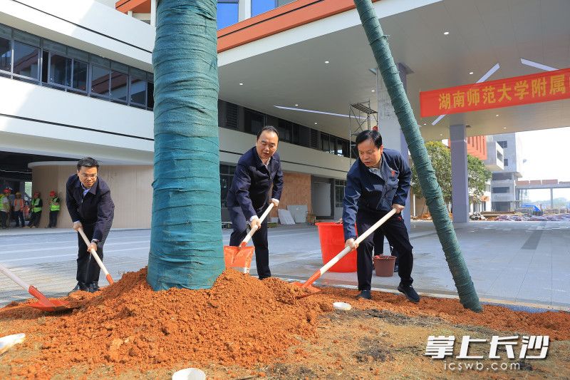共同為大澤湖校區植下一片新綠。 均為長沙晚報通訊員梁文婷攝