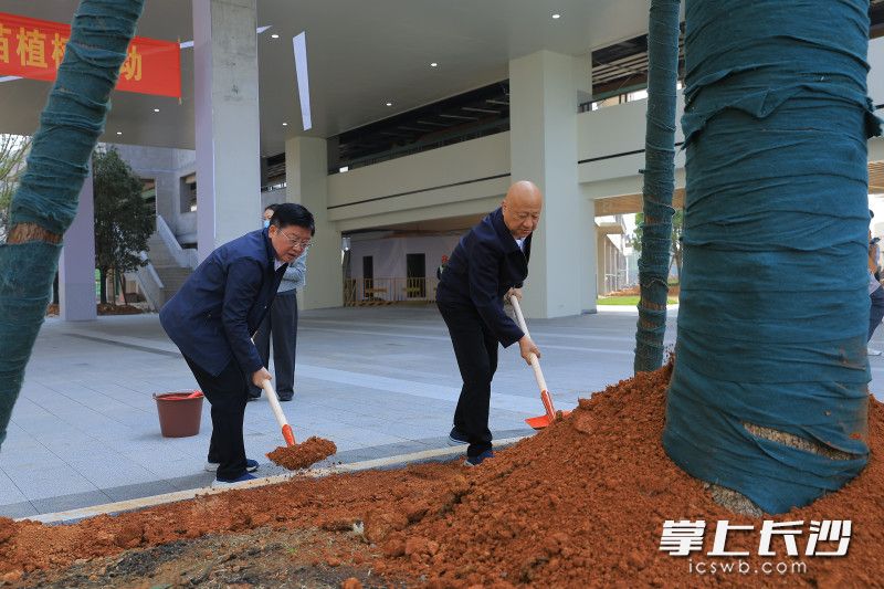 以栽種“教育生態林”的特殊方式，正式拉開新校區啟用的序章。